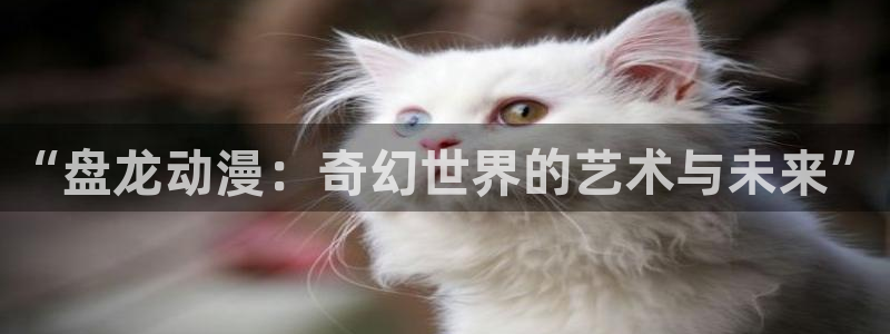 age动漫免费在线观看：“盘龙动漫：奇幻世界的艺术与未来”