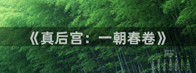 age动漫动漫大全：《真后宫：一朝春卷》