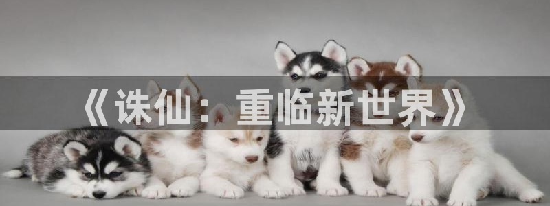 age动漫动画官方：《诛仙：重临新世界》