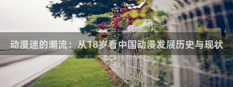 age动漫ios：动漫迷的潮流：从18岁看中国动漫发展历史与现状